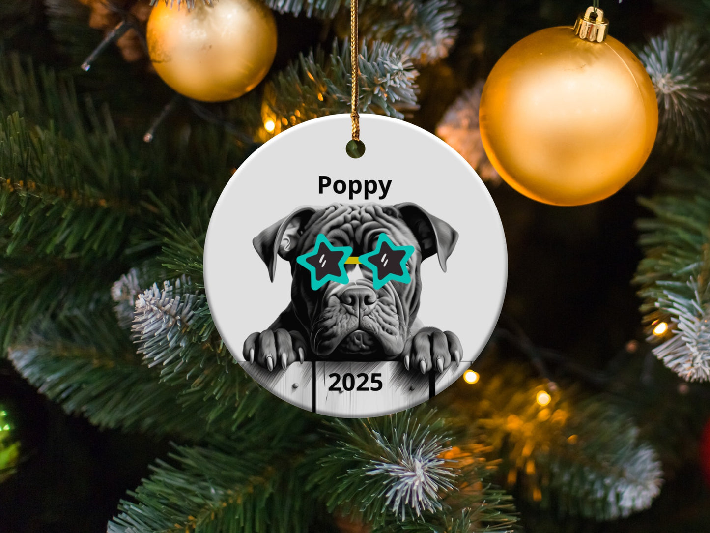 Adorable Poppy 2025 Festive Holiday Ornament product type