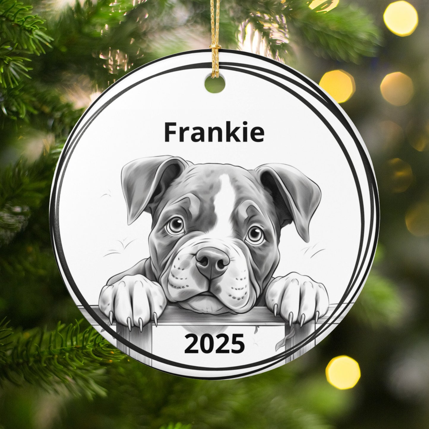 Personalized Dog Christmas Ornament 2025 product type