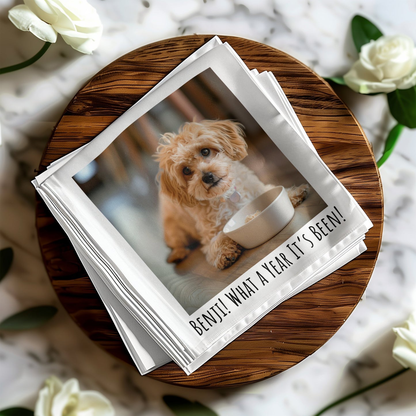 4b468541-23ed-4c08-87ce-10891cea44a4