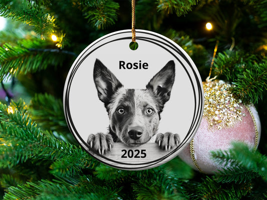 Personalized Dog Photo and Name Christmas Ornament product type