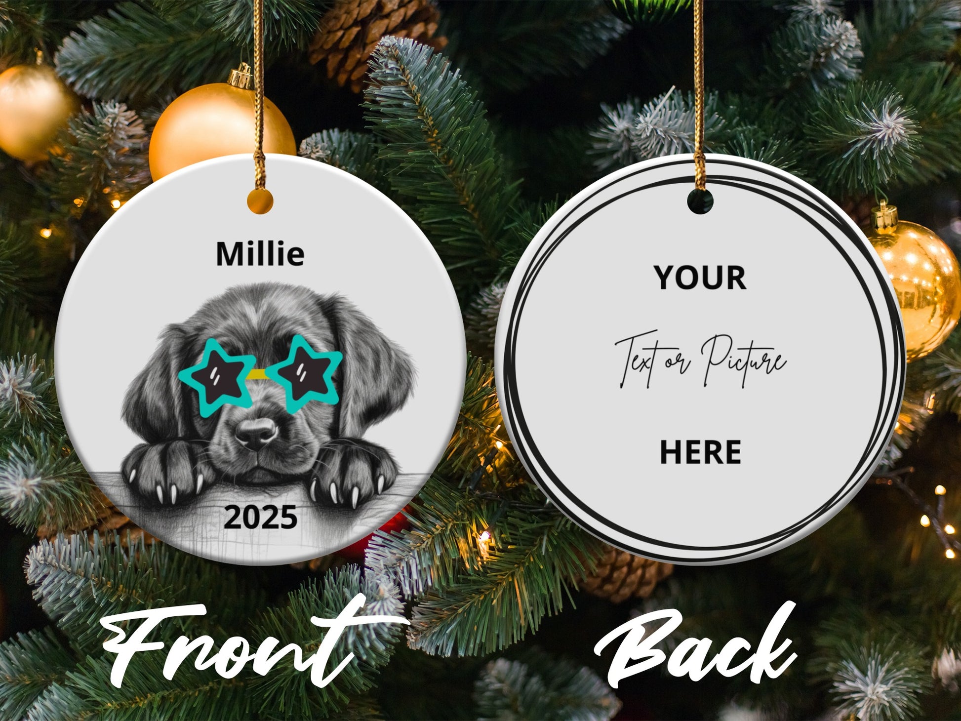 Customized Pet Photo and Name Festive Ornament product type