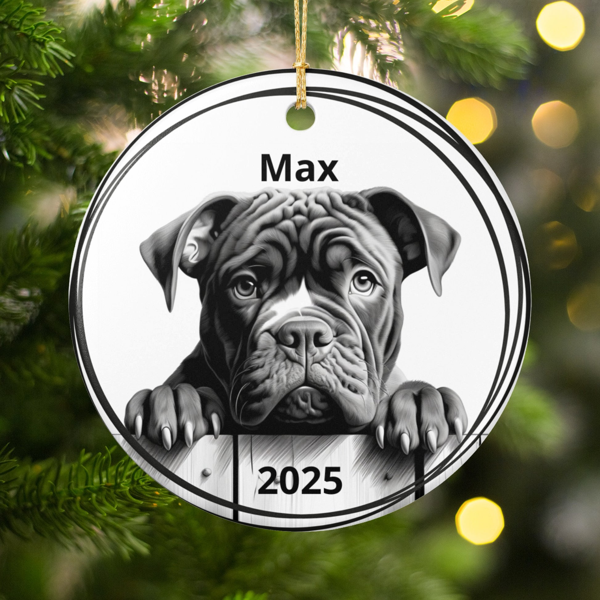 Personalized Christmas Dog Ornament 2025 product type