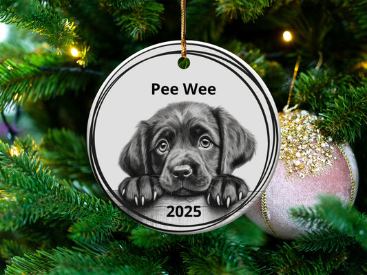 Personalized Dog Puppy Christmas Ornament 2025 product type