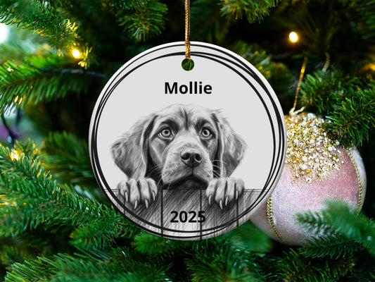 Personalized Year and Name Dog Christmas Ornament product