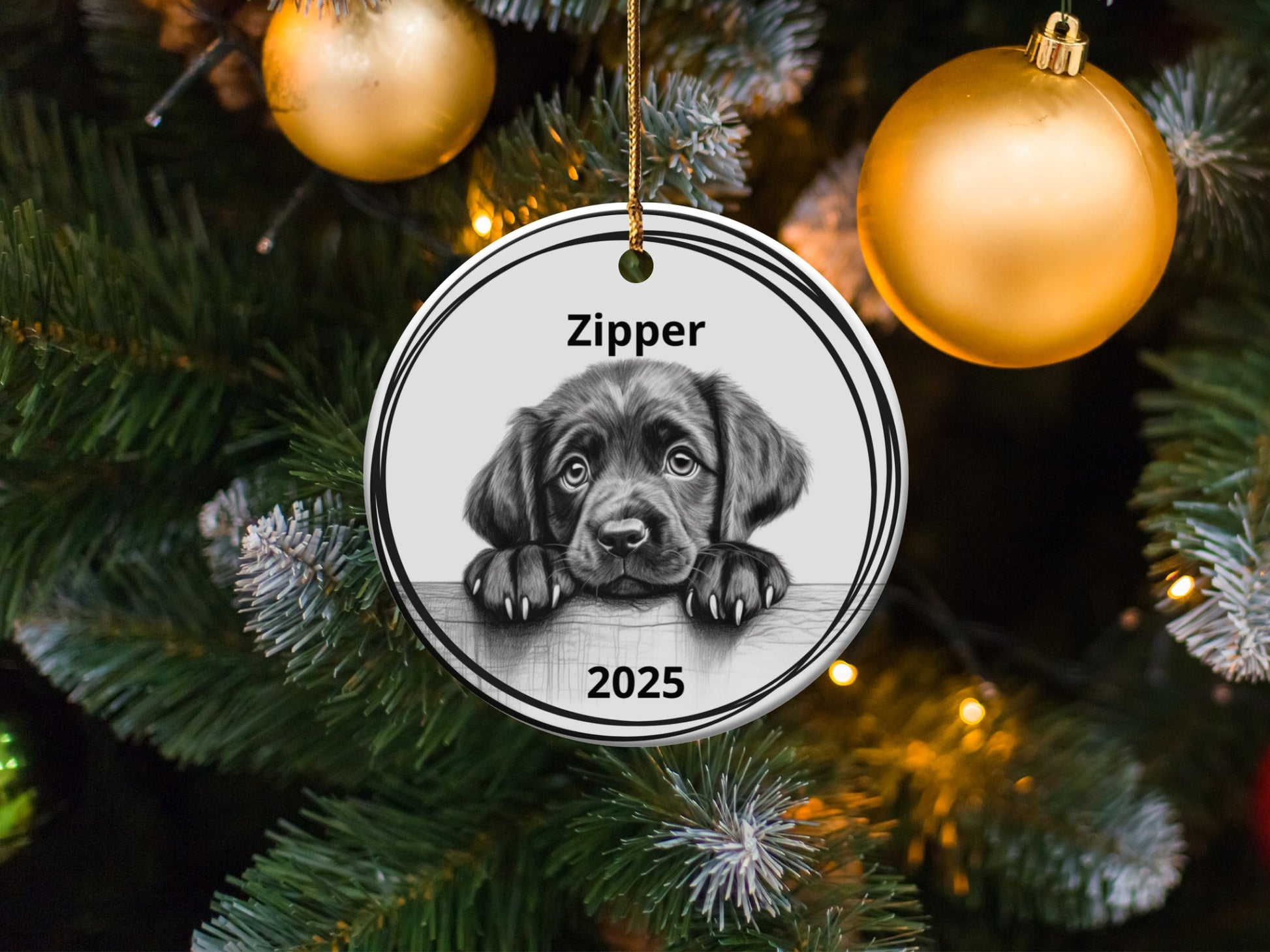 Personalized Dog Christmas Ornament 2025 product type