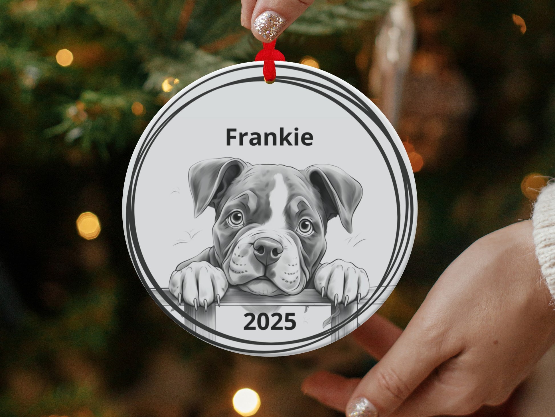 Personalized Christmas Dog Ornament 2025 product type
